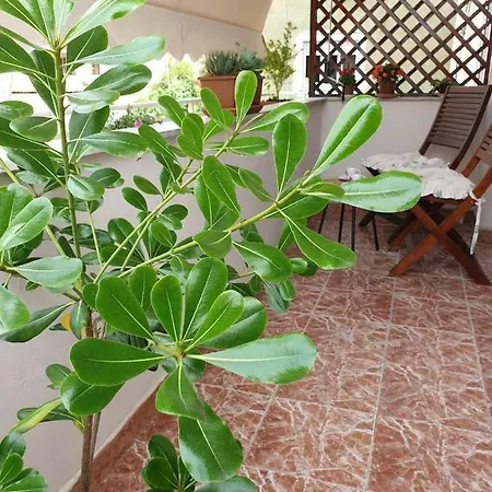 Belle Apartmán Tirana